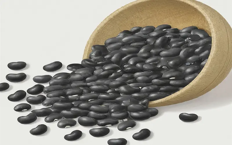 Black beans seeds