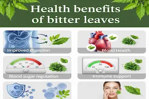 Health Benefits of Bitter Leaves and Side Effects