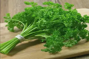 How to Grow Parsley from Seed: A Complete Step-by-Step Gardening Guide