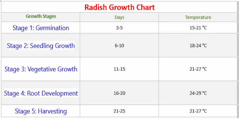 Radish growth chart