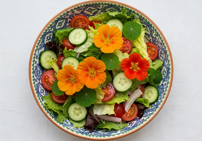 Salad with edible nasturtium flowers
