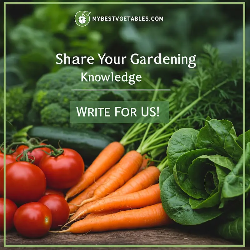 Write for us vegetable gardening
