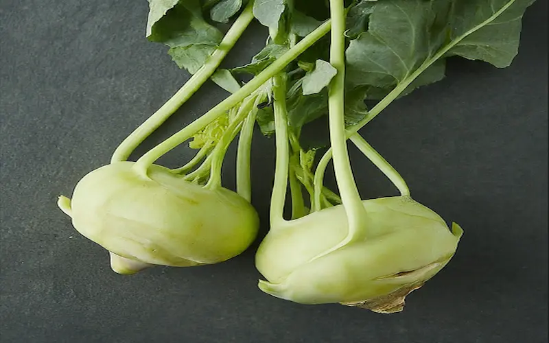growing kohlrabi